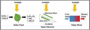 Solar Energy is Converted into Chemical Energy