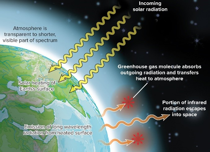 portion of the incoming solar energy on earth