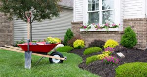 How To Add More Appeal To Your Yard Or Garden